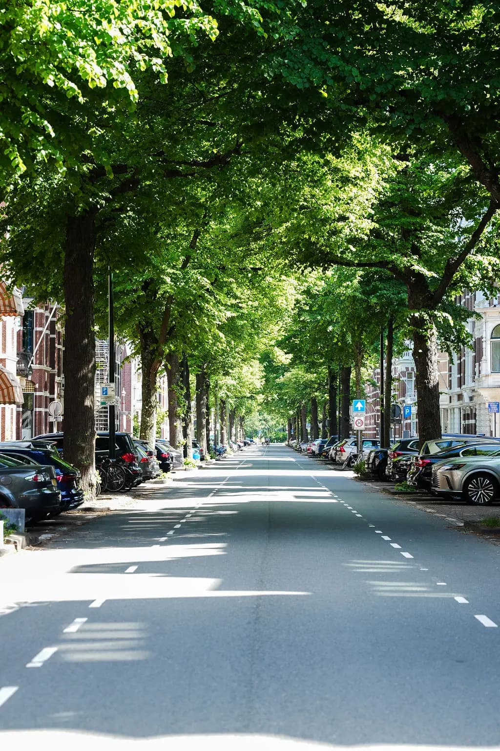Bomenlaan in de Nassaubuurt — groene omgeving in het Benoordenhout